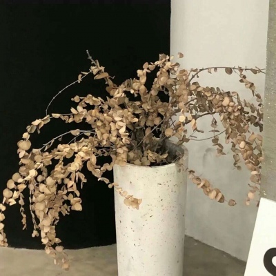 Furry数位绘画技巧兽圈社群